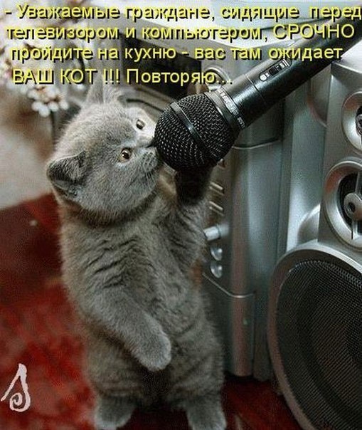 Накорми меня, напои...