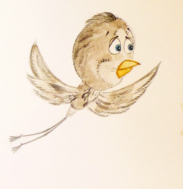 История про Галчонка 23. Крылья