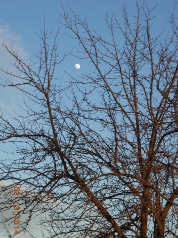 Я тут во шось опупЛикВавШый