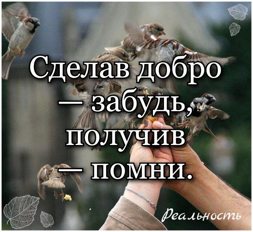 17 февраля в мире отмечается неофициальный праздник - Международный день спонтан