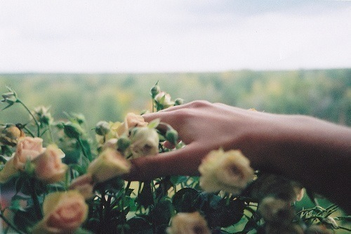 Из прошлых, далеко минувших дней