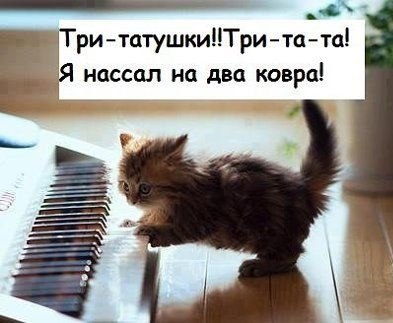 Если будешь, Васька, гадить...