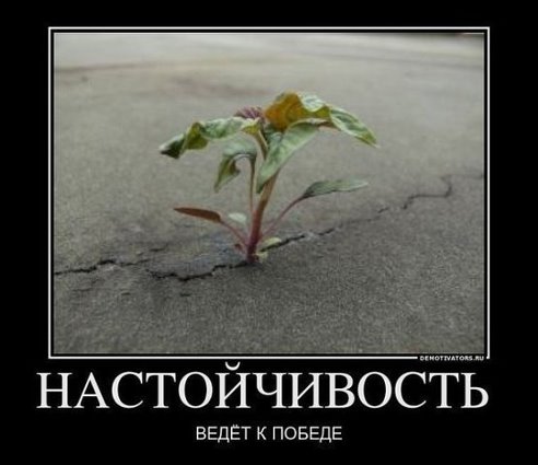 Настойчивость или трава на асфальте