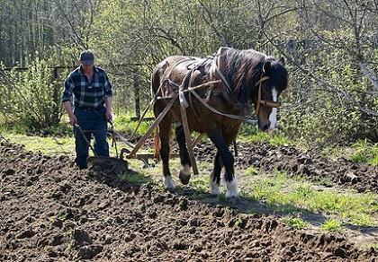 Весна на земле