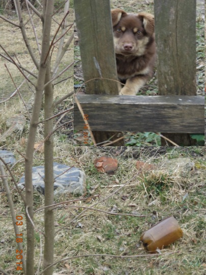 Говорит ценьник Божы!