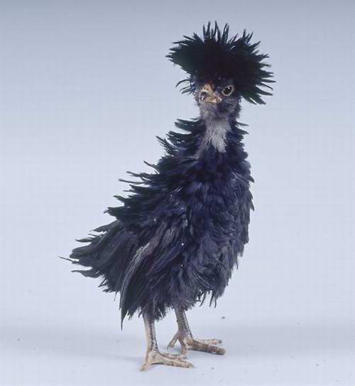 Целый день...