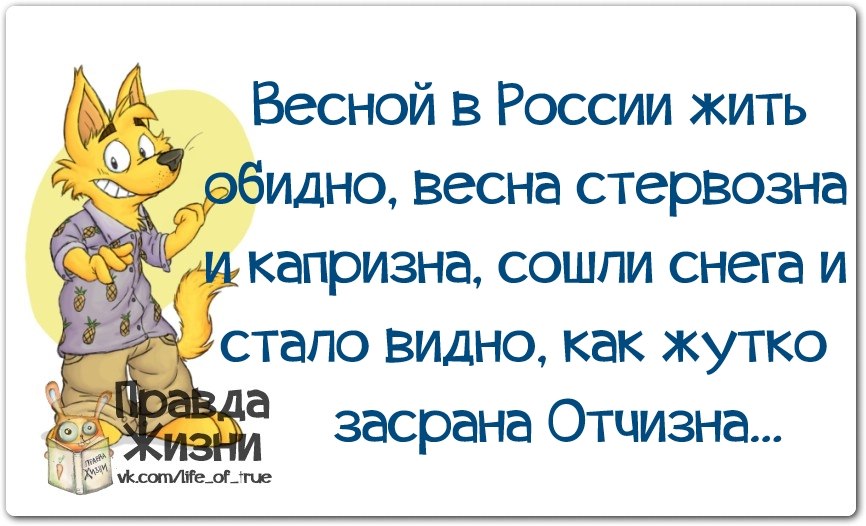 Складывается впечатление...