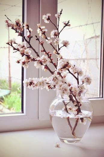 И будут в вазе стоять цветы