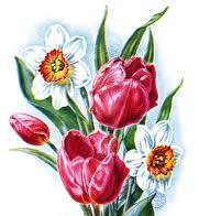 Пелена забвения