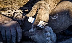 Серега с террикона