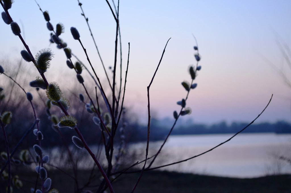 За эти несколько... Сергей Михайлович Восточный. И