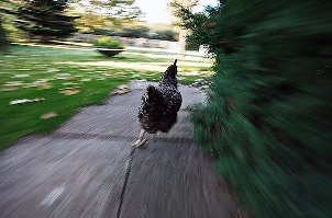 Денёк так славно начинался!