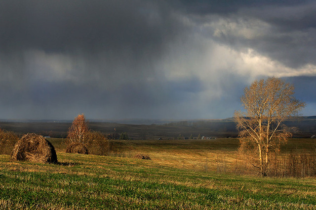 Осень в степи