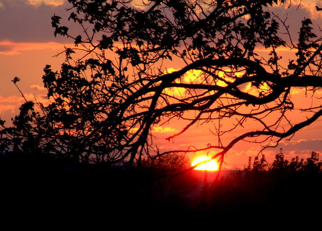 рассвет заря. солнечные лучи предложение. липа закат. утренний рассвет. диктант заря.