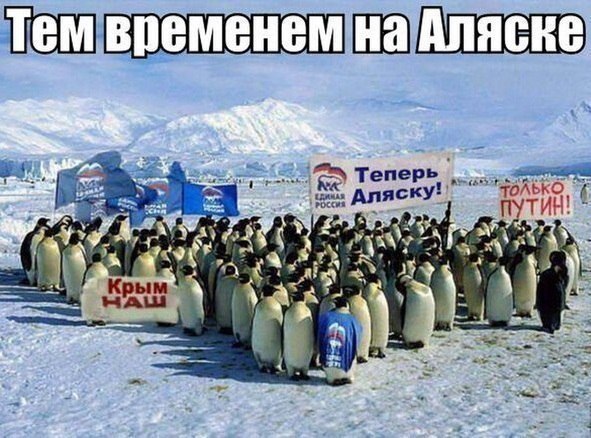 Клипы из липы - 2