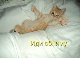 Я знаю как беде помочь!