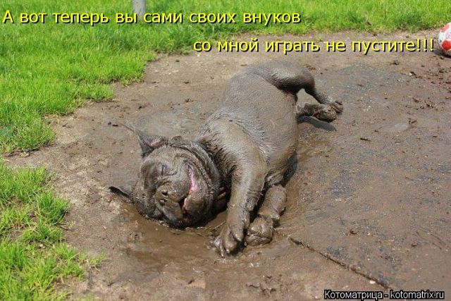 Достали все уже меня...