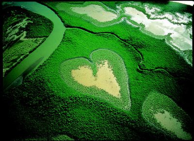 Что такое любовь?