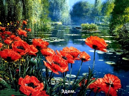 Истинная радость