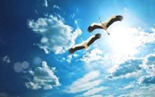 Весна дает урок