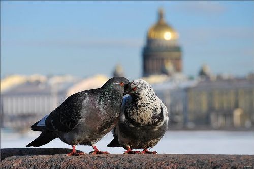 Сомнений нет - теперь уже весна!