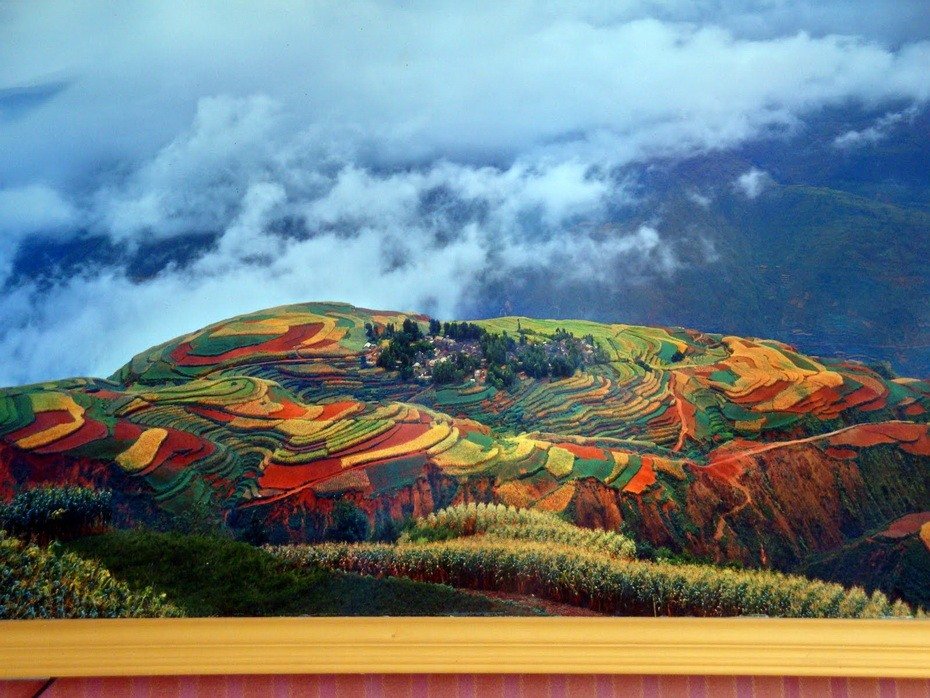 Спозаранку 87