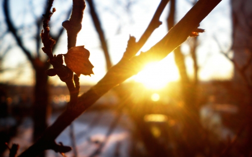 Апрельское