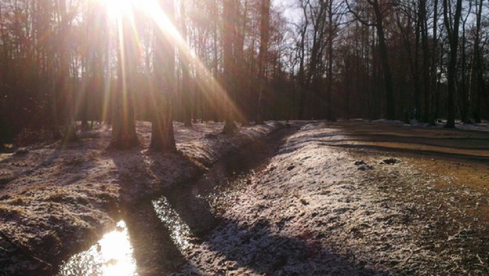 Яркое впечатление