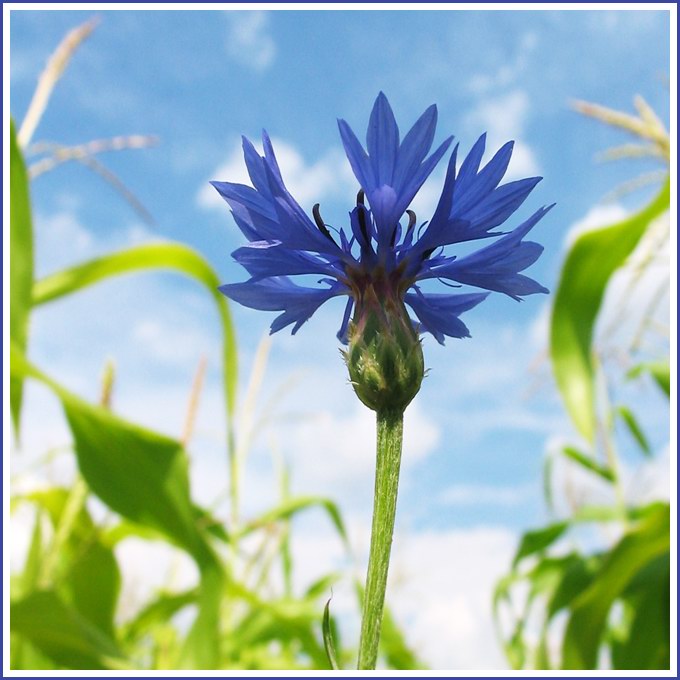 Не такой как все