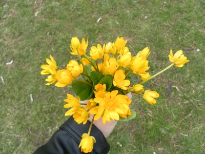 Трава поет под листьями...