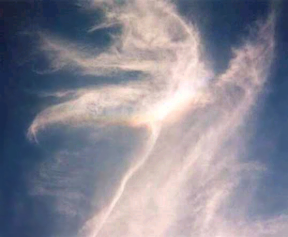 Ангел ты светлый