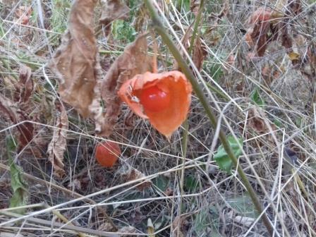 Там далеко...