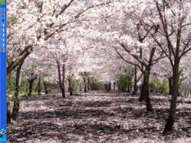 Весенние сюрпризы