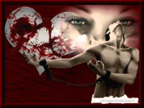 Куда приведет меня...