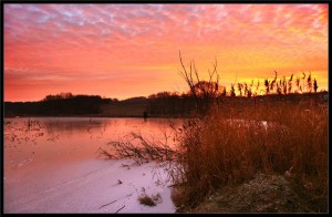 Осталась лишь одна картина...