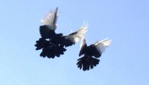 Натальи Власовой