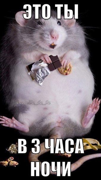 Сон сбежал...