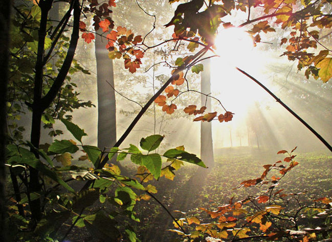 Мы дали друг другу