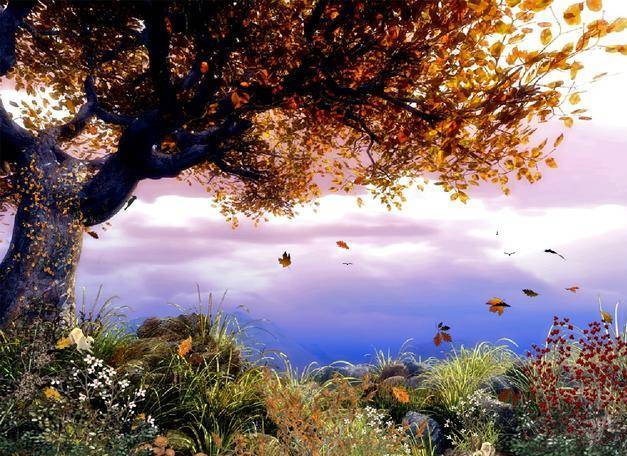 О прощении...