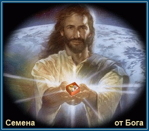 В Небесном магазине