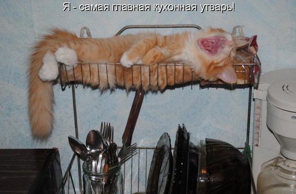 В доме, каждый должен место знать..