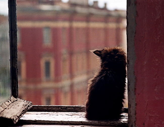 Триста двадцать шагов