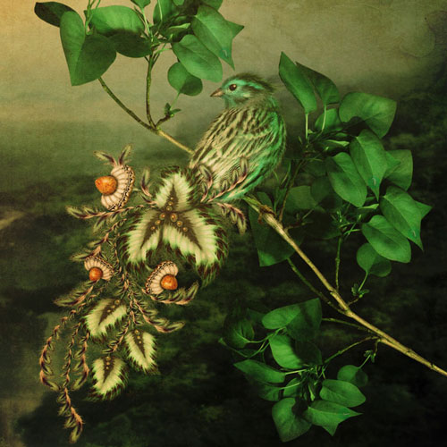 Я сказку сотворю вокруг себя