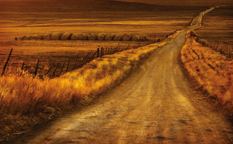 Endless Journey