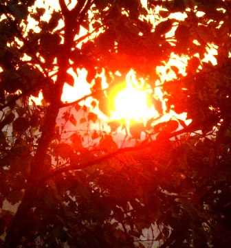 Солнце играло лучами. Пасха