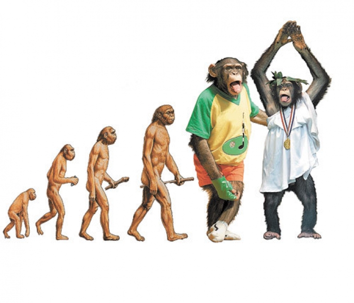 Эволюционирует ли человек. Эволюция человека Дарвина. Теория эволюции Дарвина наоборот. Превращение обезьяны в человека. Человек превращается в обезьяну.