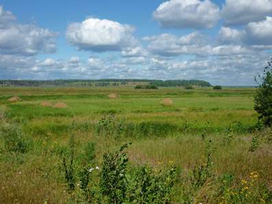 Прилетела давняя надежда