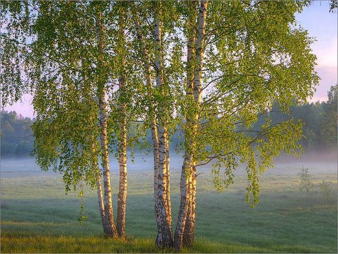 Моя подруга