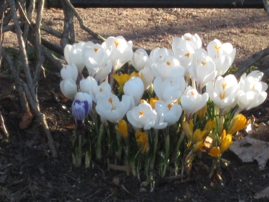 Семейка малышей