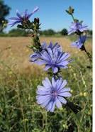 Дороги юности